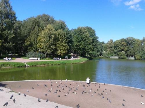 В таврическом саду меня Встречает Сергей Есенин. 03