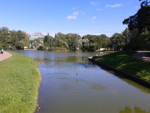 В таврическом саду меня Встречает Сергей Есенин. 07