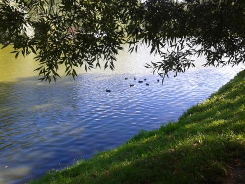 В таврическом саду меня Встречает Сергей Есенин. 06