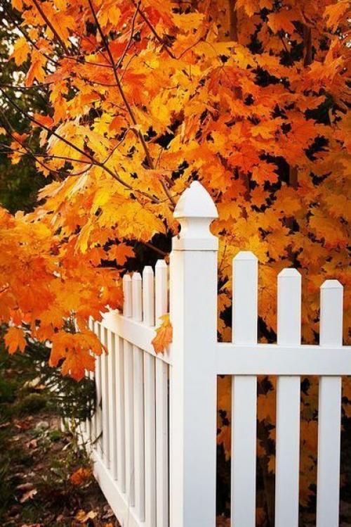 Короче дни.  Длиннее ночи. 02