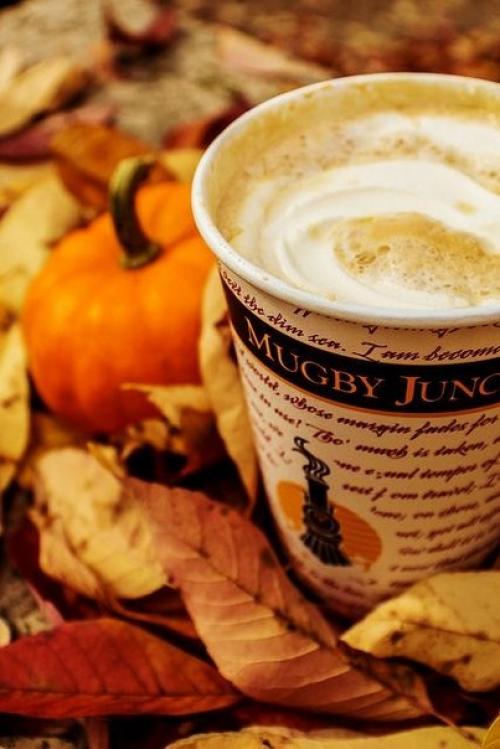 Короче дни.  Длиннее ночи. 05