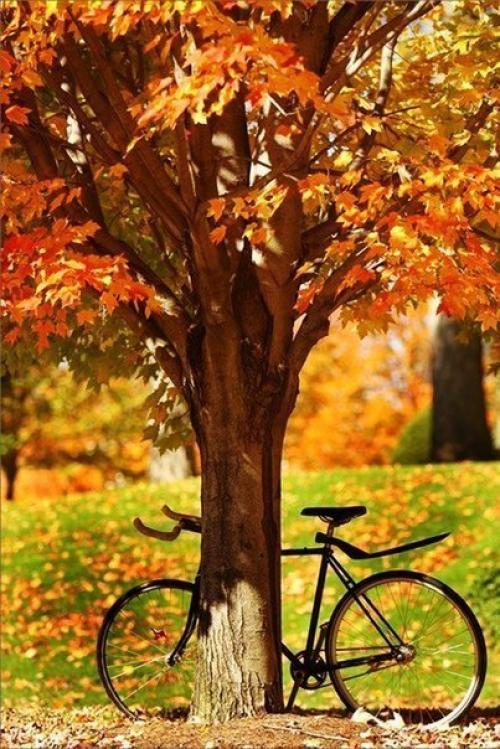 Короче дни.  Длиннее ночи. 03