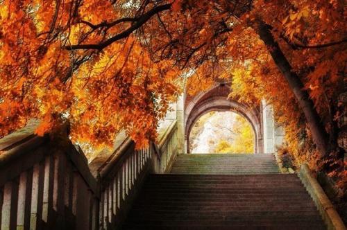 Короче дни.  Длиннее ночи. 01