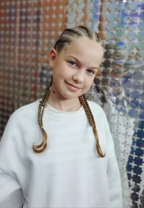 Хочу снова поднять вопрос о косах. 01