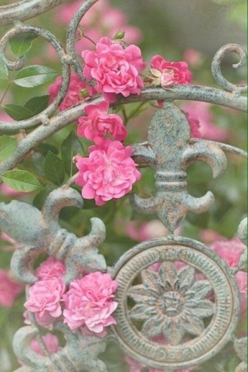 Все для Леди. Осанка истинной леди.