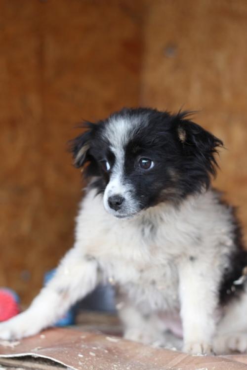 Жозефина в поисках дома! 01 Жозефина в поисках дома! 01