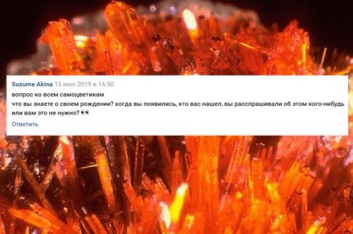 1. КюритCurite {кюри}. 2. твердость 5. 01