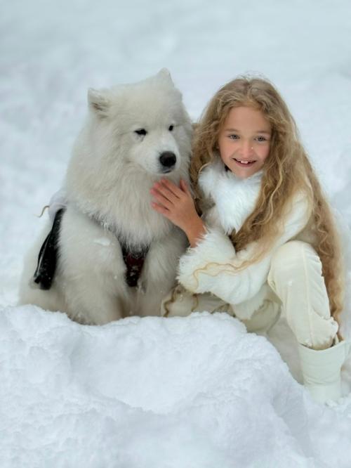 Из готовых профессиональных фото с самоедом я небольшой видеоролик сделала.  