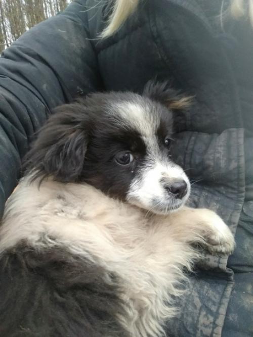 Жозефина в поисках дома! 02 Жозефина в поисках дома! 02