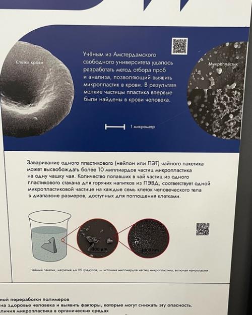 Эрмитаж, Петергоф …. 03