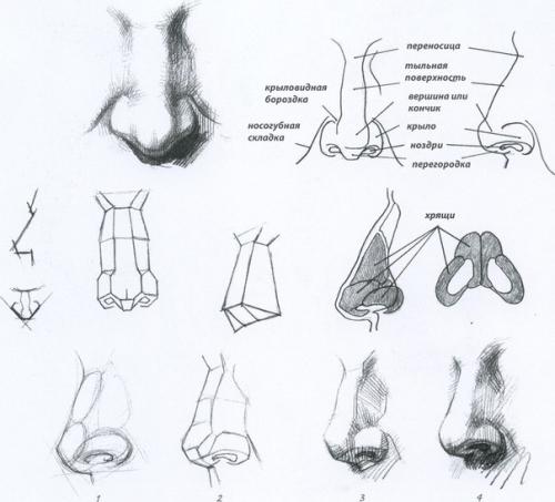 Здравствуйте! В первый раз пишу вам. 02 Здравствуйте! В первый раз пишу вам. 02