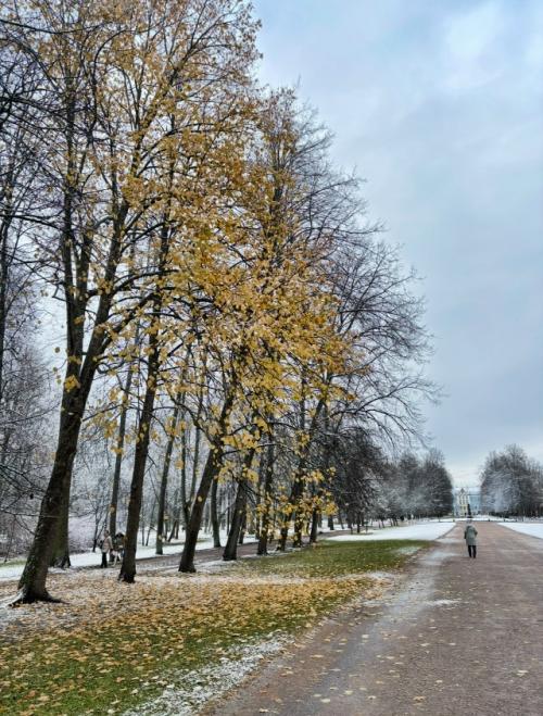 Я по пустому осеннему парку гуляла.  