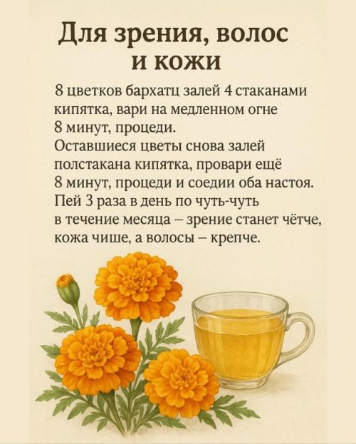 Бархатцы - цветы, которые лечат! 01