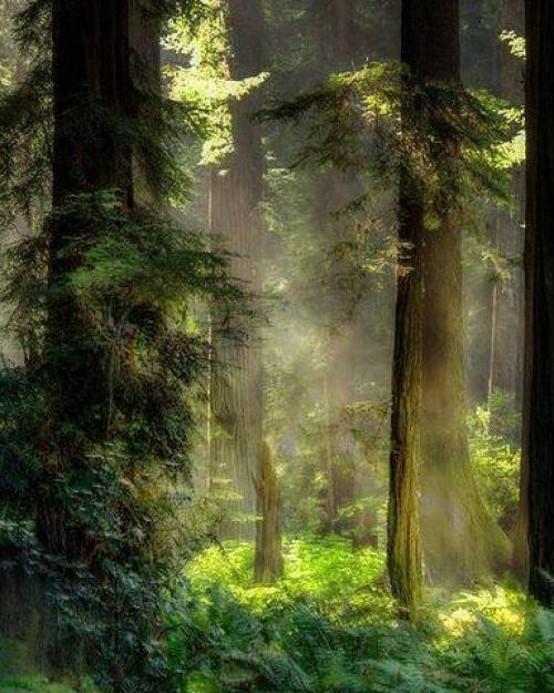 А вот и свет, а значит можно сделать фото в прическе. 01