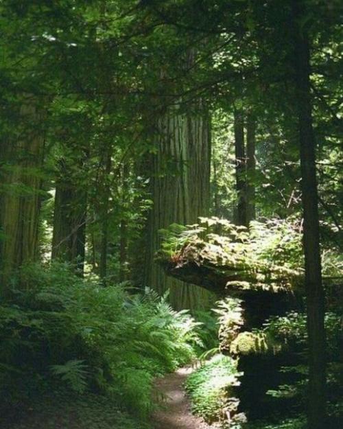 А вот и свет, а значит можно сделать фото в прическе. 04