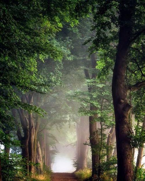 А вот и свет, а значит можно сделать фото в прическе. 02