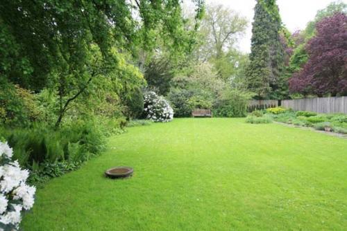 Виды газонов.  Газон украшает сад, раздвигает и организует пространство, объединяя разнородные элементы в одно целое. 01 Виды газонов.  Газон украшает сад, раздвигает и организует пространство, объединяя разнородные элементы в одно целое. 01