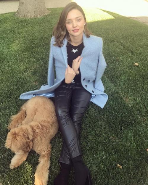 Всех на персональные тренировки в фитнес клуб приглашаю? 01