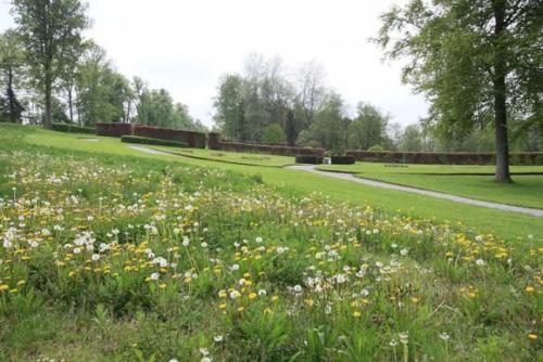 Виды газонов.  Газон украшает сад, раздвигает и организует пространство, объединяя разнородные элементы в одно целое. 04 Виды газонов.  Газон украшает сад, раздвигает и организует пространство, объединяя разнородные элементы в одно целое. 04