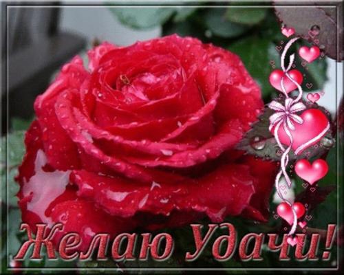 6 декабря. Чудесный день! 02 6 декабря. Чудесный день! 02