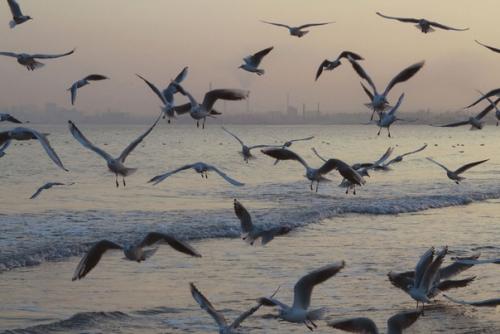 Простите меня, что выбираю радоваться и танцевать несмотря на боль и истерику. 01