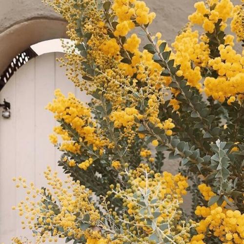 Chanyeol and Baekhyun Stan: 06