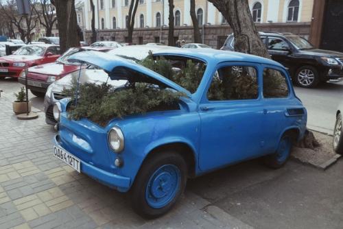 Простите меня, что выбираю радоваться и танцевать несмотря на боль и истерику. 04