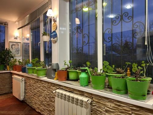 В преддверии весеннего праздника, модная женская стрижка! 01