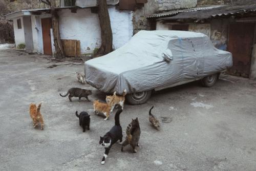 Простите меня, что выбираю радоваться и танцевать несмотря на боль и истерику. 06