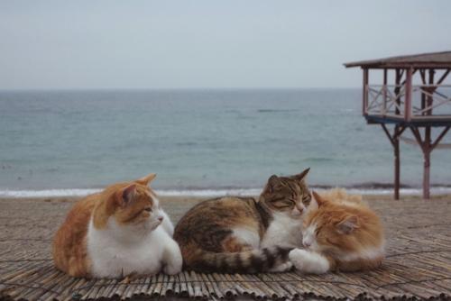 Простите меня, что выбираю радоваться и танцевать несмотря на боль и истерику. 03