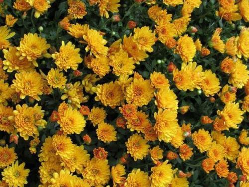 Для тех, кому не спится.