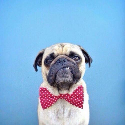 Мы говорим комплименты на английском? 02 Мы говорим комплименты на английском? 02