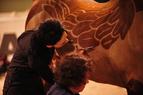 Зачем брить лошадей. 05 Зачем брить лошадей. 05