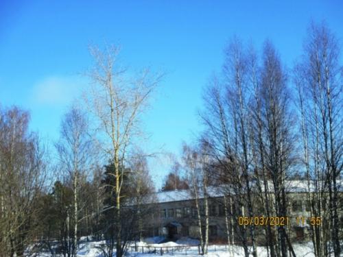 Чудеса случаются, когда их не ждёшь. 07