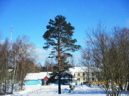 Чудеса случаются, когда их не ждёшь. 01