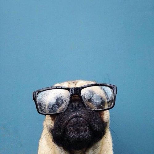 Мы говорим комплименты на английском? 03 Мы говорим комплименты на английском? 03