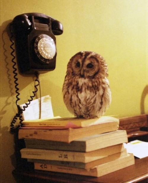 Для тех, кому не спится.