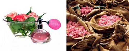 История обычных вещей. 08 История обычных вещей. 08