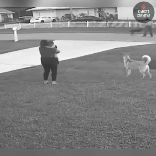 Огромный пёс в секунду мог искалечить мальчишку, но он появился и встал стеной между ними ….

