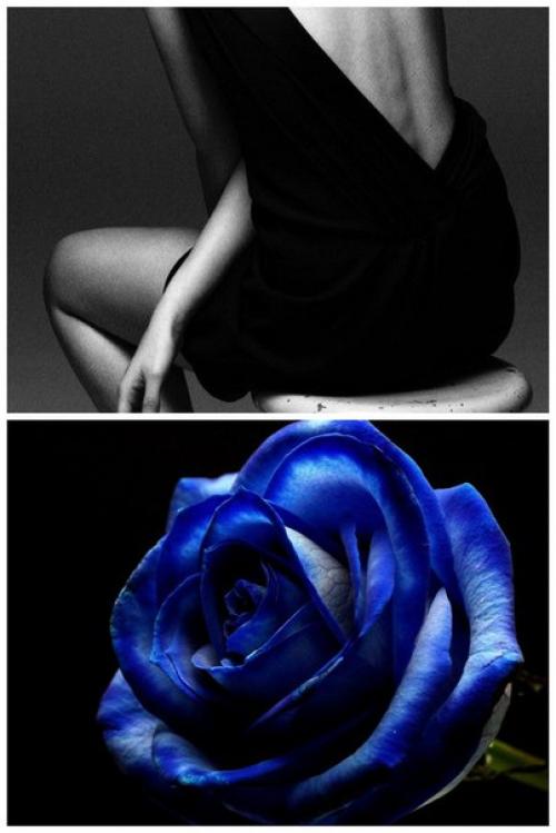 Строптивая женщина это.