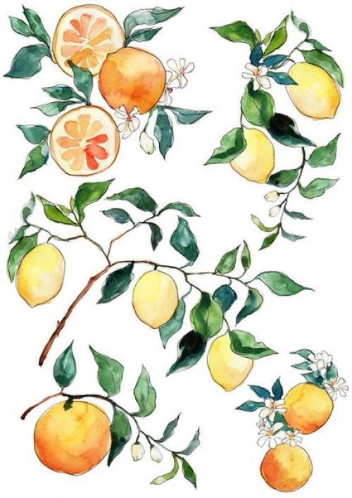 Полезное@World_for_Only_Girls? 01 Полезное@World_for_Only_Girls? 01