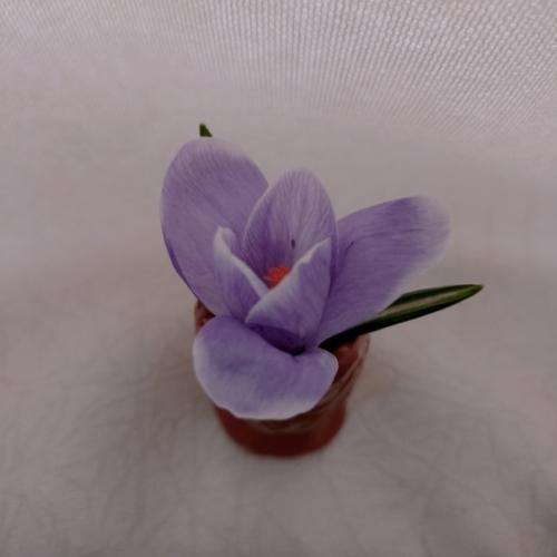 Маленькая Жизнь. Это каждый момент, когда я здесь и сейчас. 05