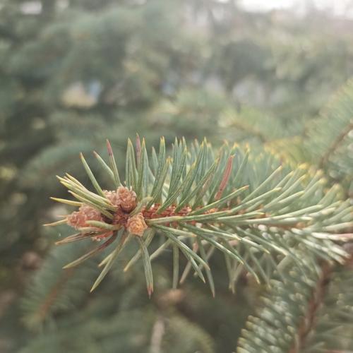 Маленькая Жизнь. Это каждый момент, когда я здесь и сейчас. 03