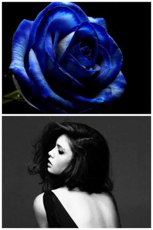 Строптивая женщина это.