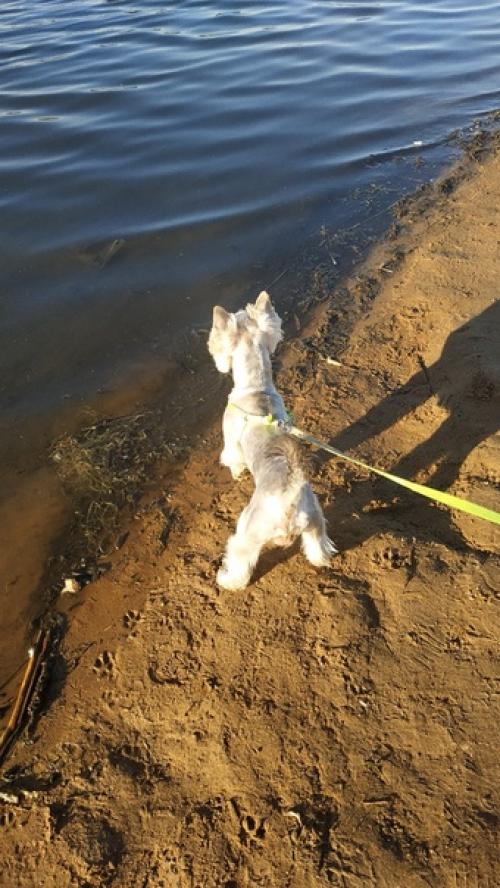 Скоро, скоро лето! 03