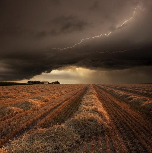 Грозовые поля.   61-Летний немецкий фотограф Франц Шумахер (Franz Schumacher) сфотографировал поля во время грозы. 04