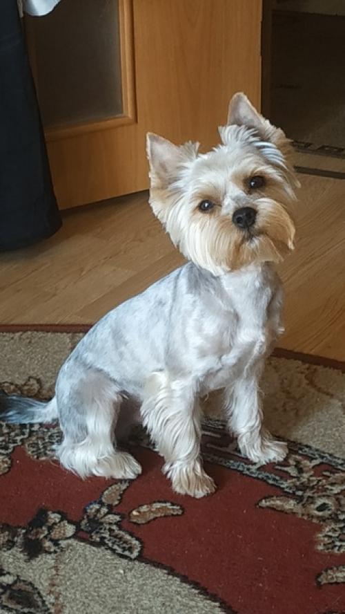 Скоро, скоро лето! 02