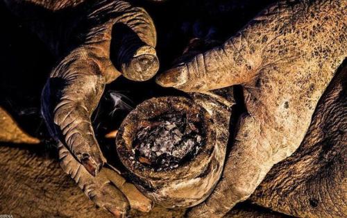 Достижение в книге рекордов Гиннеса установил 80-летний житель Ирана Аму хаджи, который не мылся в течение 60 лет. 07