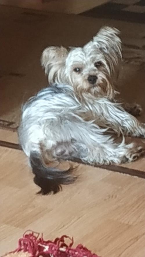 Скоро, скоро лето! 01