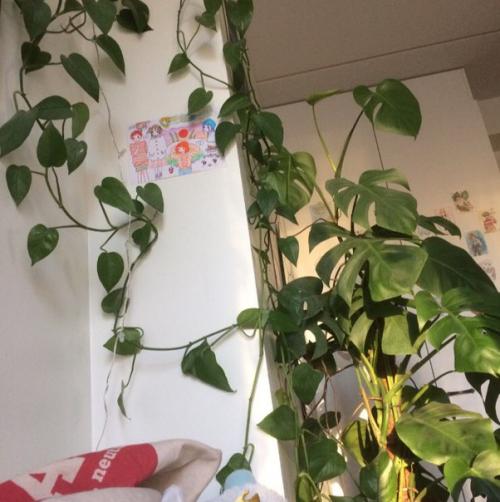 Письмо восьмое. Быть веселым, но не быть смешным. 01 Письмо восьмое. Быть веселым, но не быть смешным. 01